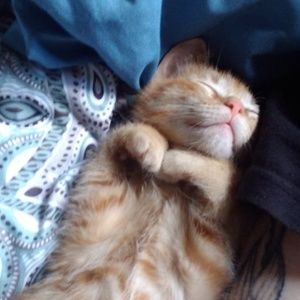 Meet your Posher, Alex